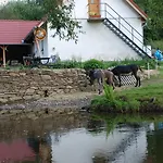 Lantgård Biofarma Dolejsi Mlyn *