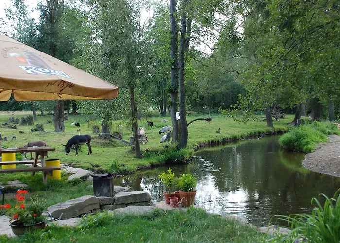 Séjour à la ferme Biofarma Dolejsi Mlyn