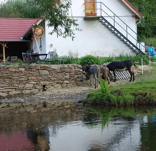 Gospodarstwo agroturystyczne Biofarma Dolejsi Mlyn *