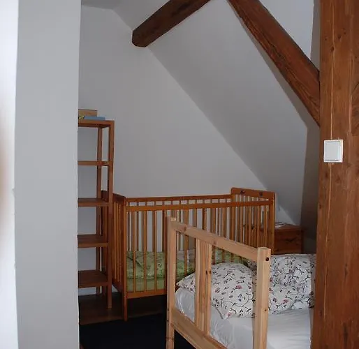 Vakantieboerderij Biofarma Dolejsi Mlyn